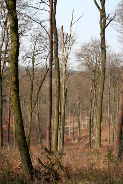 Killikus&reg; Fotographie